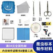 蝴蝶标本手工diy制作材料昆虫针展翅板昆虫标本盒子工具套装 全套