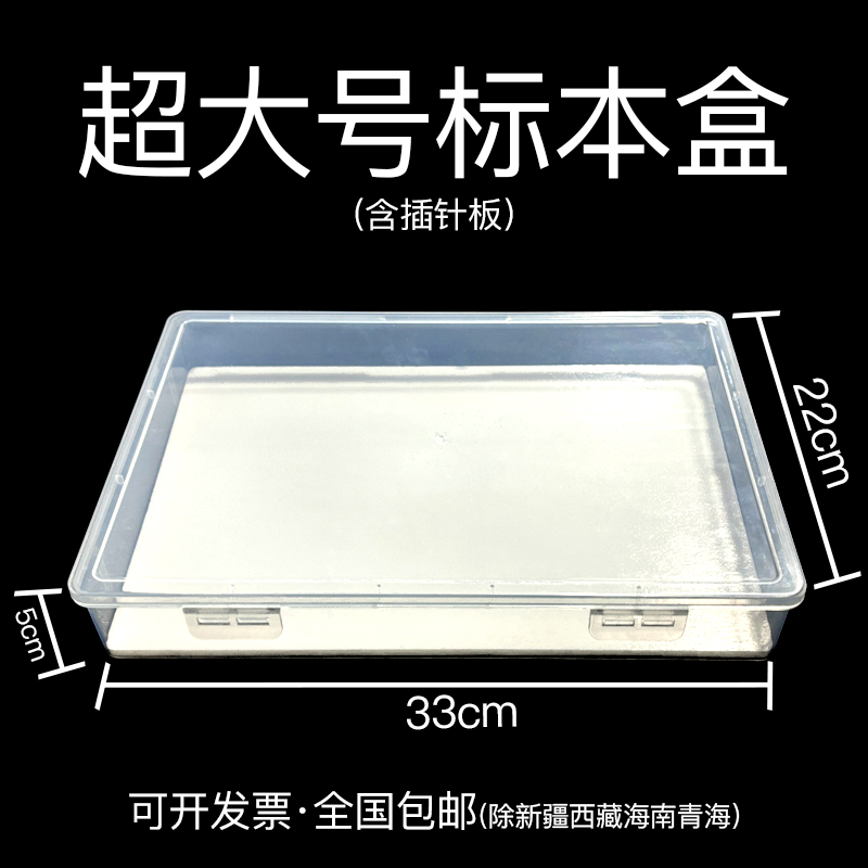 透明昆虫标本盒蝴蝶蜻蜓昆虫