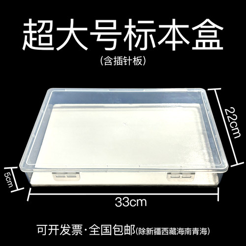 透明昆虫标本盒蝴蝶蜻蜓昆虫