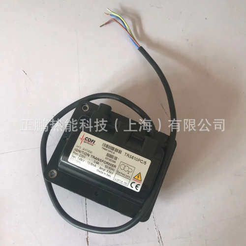 TRS1020 2*5KV意大利COFI高压点火线圈 高压包现货优惠