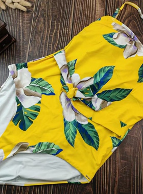 法式46码欧美大尺码胖MM挂脖黄色印花薄海绵垫无钢圈三角连体泳衣