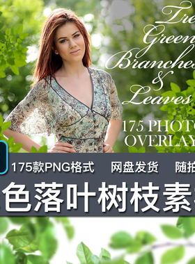 175款绿色落叶树枝透明免扣PNG封面装饰人像写真摄影叠加覆盖素材
