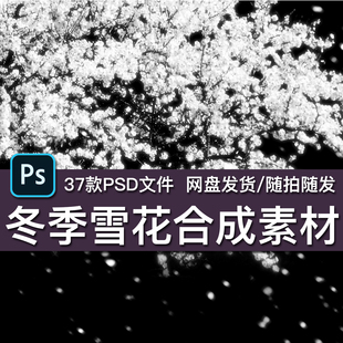 雪花合成素材影楼电商详情后期叠加特效修图模板 冬季 37款 PSD格式