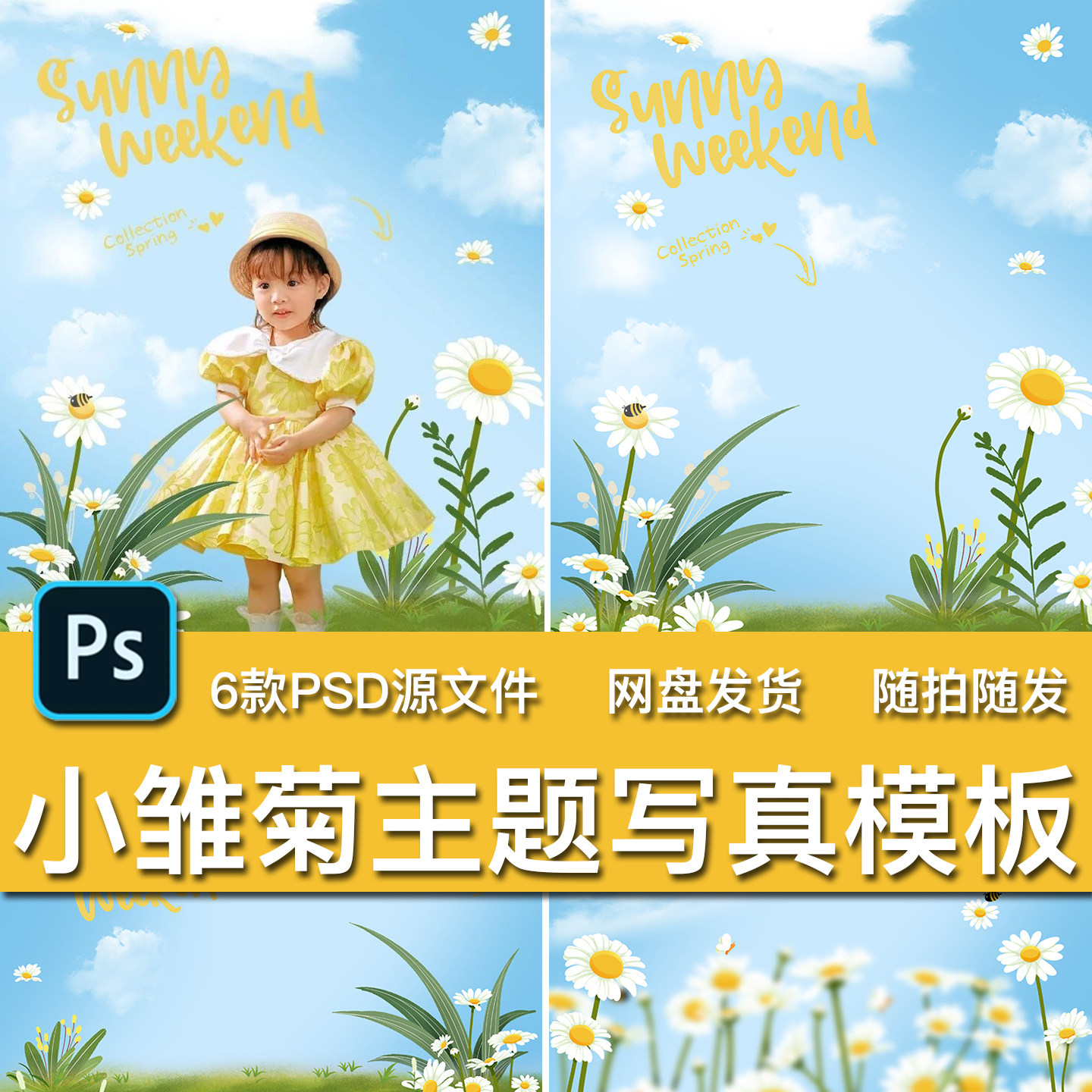 6款清新春日雏菊花朵花丛春季儿童宝宝写真摄影楼后期PSD模板素材