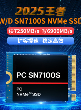 WD/西部数据 SSD SN7100 2230固态硬盘2T  pm9cqb pvc10 bc711