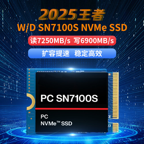 WD/西部数据 SSD SN7100 2230固态硬盘2T  pm9cqb pvc10 bc711