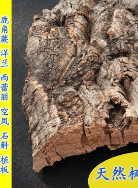 葡萄牙软木树皮板植板鹿角蕨洋兰花空凤石斛西蕾丽造景爬宠躲避