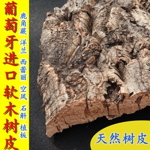 葡萄牙软木树皮板植板鹿角蕨洋兰花空凤石斛西蕾丽造景爬宠躲避