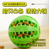 Утечка для любимой собаки игрушка с мячом, мудрость, укус золотые волосы, золотые волосы, Corki Unite щенки