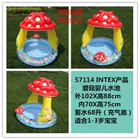 Роза красная