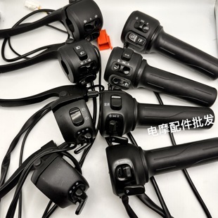 新日电动车电瓶车2.0小丽诺小丽莎国标喇叭大灯左右组合开关油门