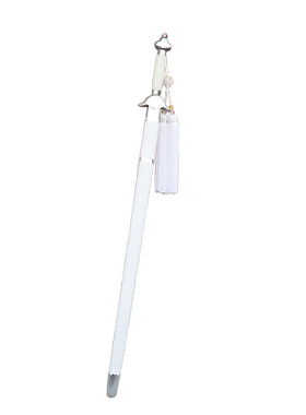 太极剑武术表演晨练健身