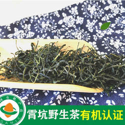 2024年新茶正宗霄坑绿茶池州特产肖坑高山生态茶浓香型