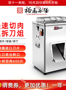 裕飞永强切肉机商用YQ300不锈钢立式双滚刀单切新款切丁切片机