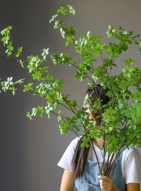 芝麻家居 仿真日本吊钟木大型植物绿叶室内阳台落地装饰摆设