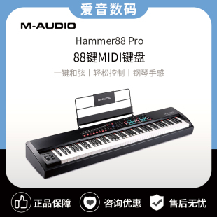 Pro AUDIO Hammer88 编曲主控MIDI键盘打击垫全配重钢琴手感