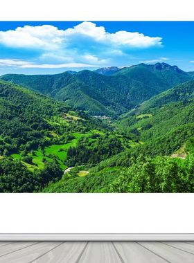 FJ01569高山靠山壁画墙画有山无水办公室背景招财画青山大山风景