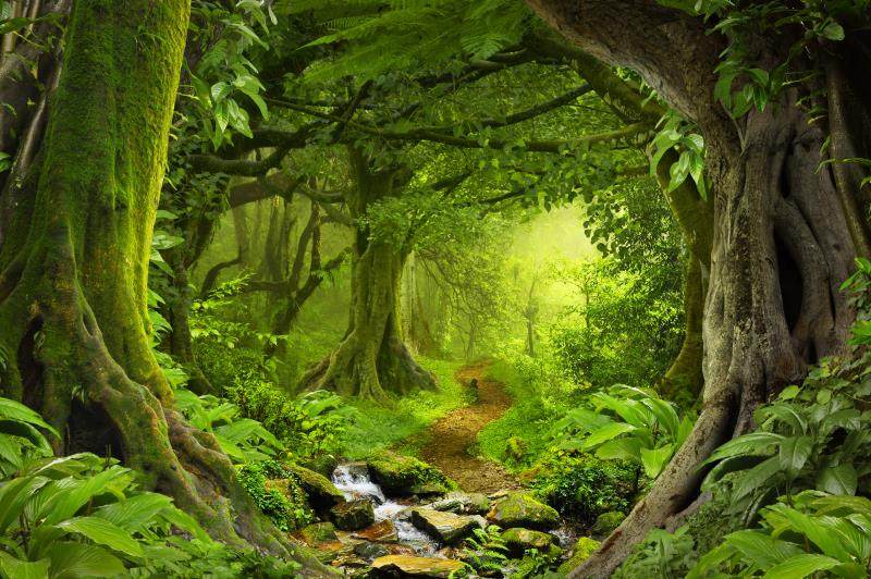 fj1117定制环保电视沙发墙3d空间绿色树景热带雨林树林森林背景墙