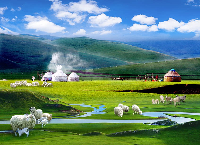 fj1132定制环保蒙古包牛羊群草原问候牧场直播牛羊马背景墙风景