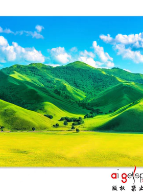 黄金满地寓意靠山聚宝盆蓝天白云蒙古草原风景无水背景壁画FJ1150