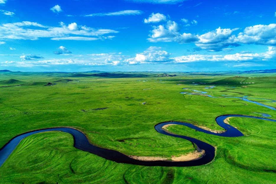 定制3d类牛肉羊肉分割图3d高清蒙古牛羊呼伦贝尔大草原蒙古包饭店