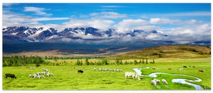 FJ0782牛群羊群草原牧场3d立体大型壁画开阔空间高原雪山风景墙纸