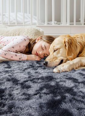 Carpets Plush carpet bedroom blanket floor mat现代简约地毯