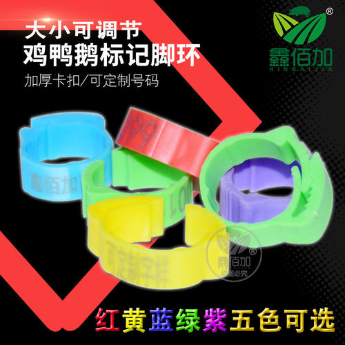 【可以随意调节大小】的鸡脚环圈