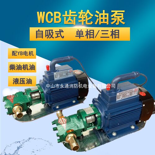 机床换油油类抽送铸铁220V