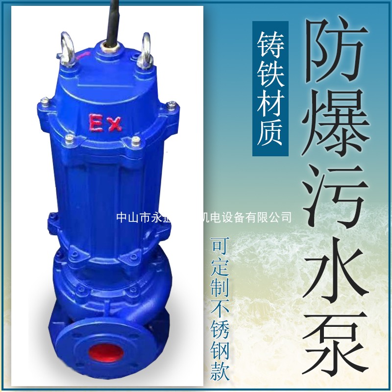 不锈钢潜水泵65WQBP25-30-4加气站加油站化工排污泵EX型控制柜4kw