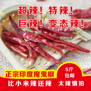 印度魔鬼辣椒500g特辣干辣椒变态辣辣椒特辣椒火锅底料红油泼辣子