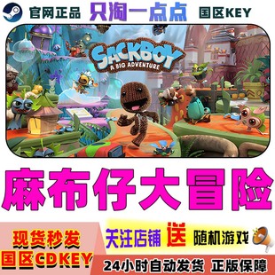 Steam正版国区KEY 麻布仔大冒险Sackboy A Big Adventure 激活码
