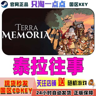 steam正版 泰拉往事 Terra Memoria 国区激活码CDK现货