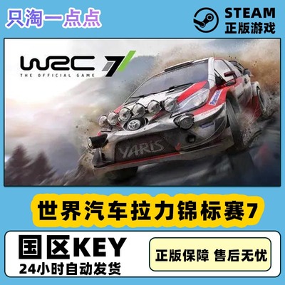 Steam游戏世界汽车拉力锦标赛7