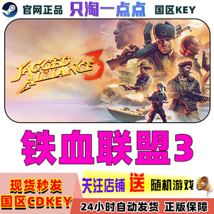 Steam正版游戏 铁血联盟3 Jagged Alliance 3 国区激活码 现货