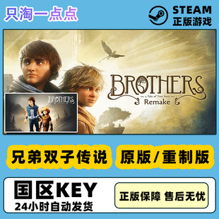 重置版 重制版 兄弟双子传说 PC正版 国区激活码 Steam游戏 CDKEY