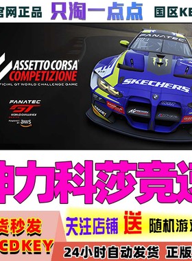 Steam正版国区Key神力科莎竞速 争锋Assetto Corsa Competizione