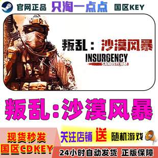 Steam国区KEY 叛乱:沙漠风暴Insurgency: Sandstorm国区KEY现货