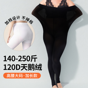 袜长款 丝袜120D春秋高腰不掉裆女胖m防勾丝连裤 200斤 2025新款 大码