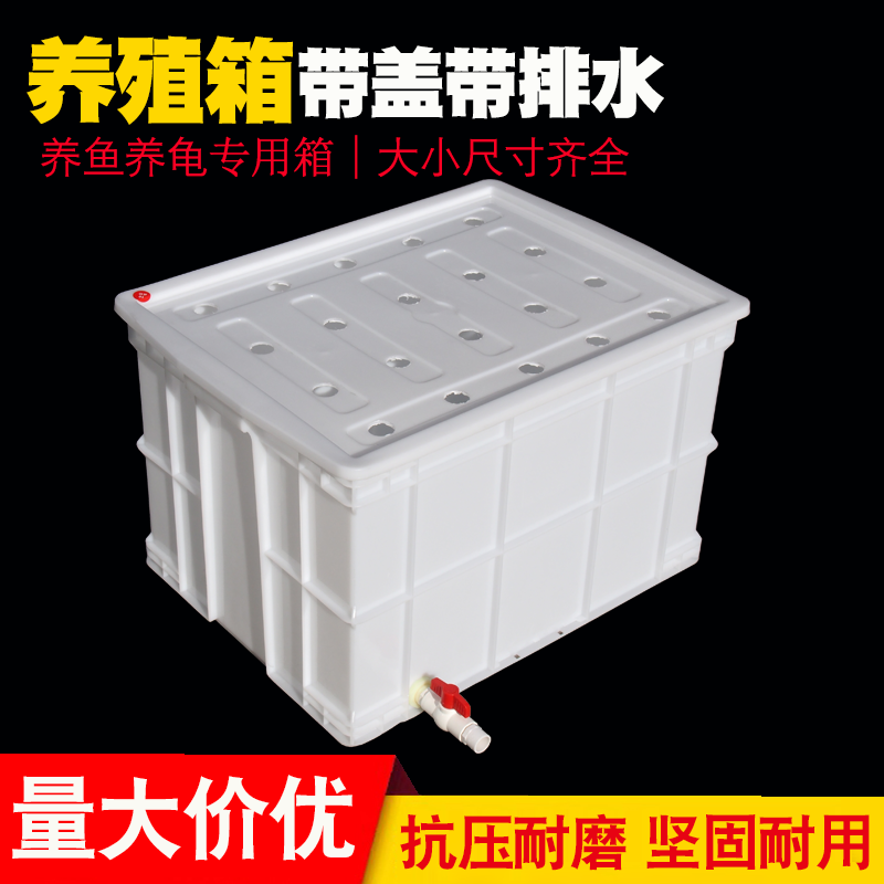 带盖养鱼水产养殖周转箱