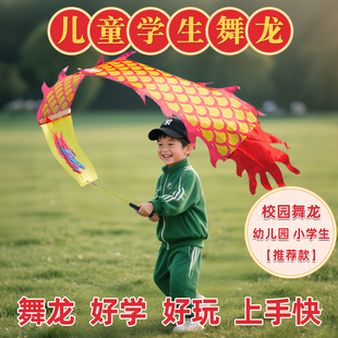健身甩龙舞龙彩带儿童成人舞飘带空竹舞龙甩龙校园舞龙学生舞龙