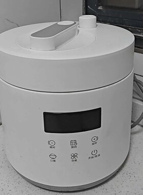 OLAYKS HY-254DA电压力锅家用2-3人2.5L小型迷你高压锅饭煲锅