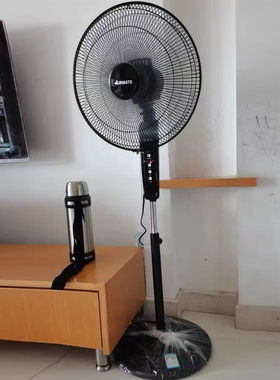 艾美特五叶家用遥控电风扇大风量摇头落地扇定时风扇FS4066R-5