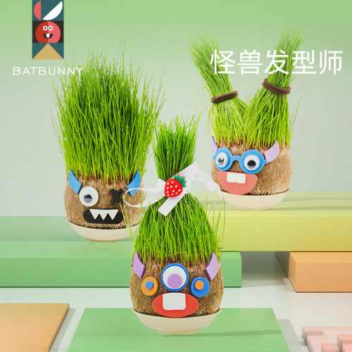 水培创意绿植观察力摆件