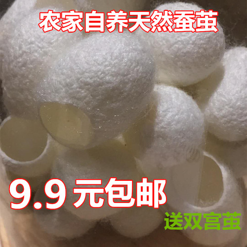 蚕宝宝