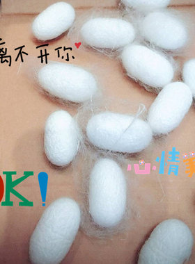 天然带美容洗脸泡水入药用壳蚕茧
