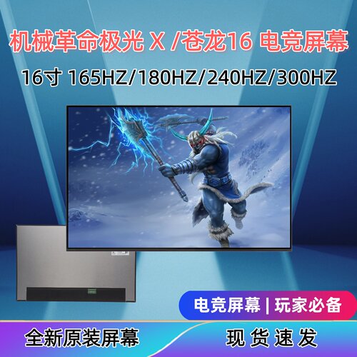 机械革命极光X苍龙16XPro屏幕