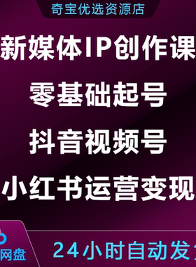 新媒体IP创作课2.0升级版零基础起号抖音视频号小xhs红书运营变现