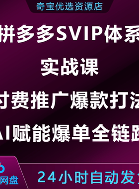 拼多多SVIP体系实战课付费推广爆款打法AI赋能爆单全链路