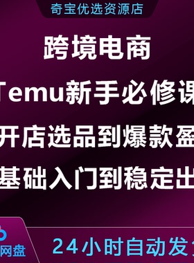 跨境电商Temu新手必修课开店选品到爆款盈利零基础入门到稳定出单